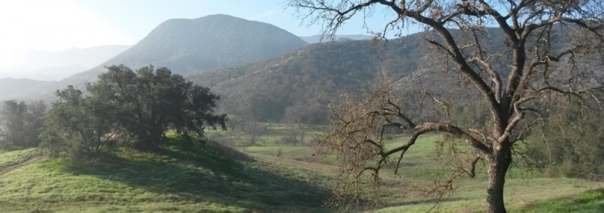 Film and the American Landscape